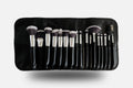 Set of makeup brushes in a black case on a white background