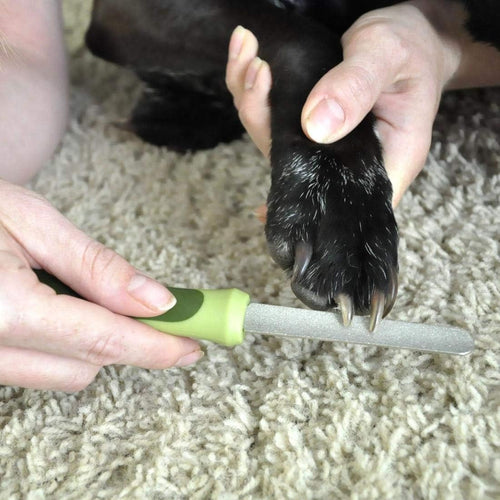 Coastal Pet Safari Dog Diamond Nail File