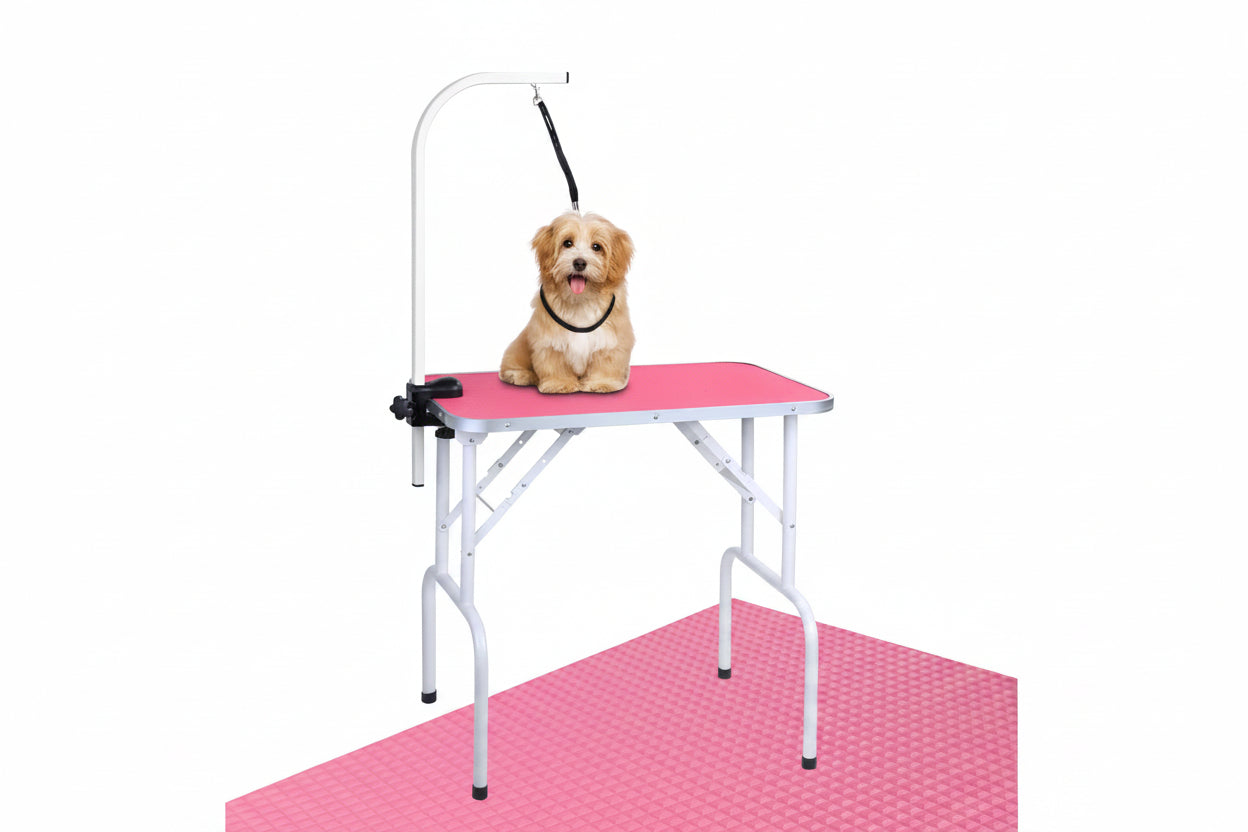 Dog sitting on a pink grooming table with a white background