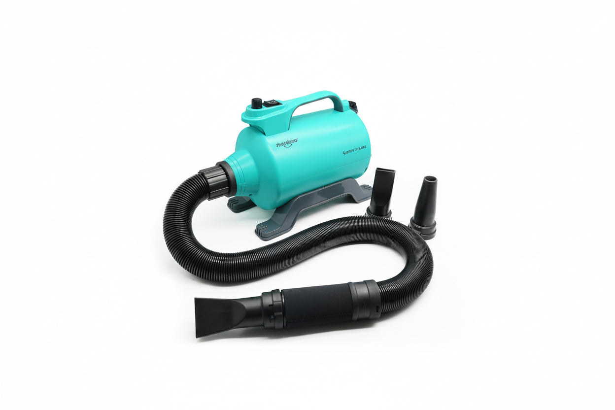 Turquoise hair dryer with black attachments on a white background