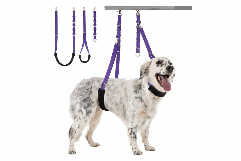 Dog wearing a purple harness with multiple straps hanging above it on a white background