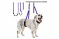 Dog wearing a purple harness with multiple straps hanging above it on a white background