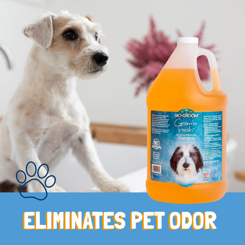 Bio-Groom Groom'n Fresh Dog Shampoo 1 Gallon