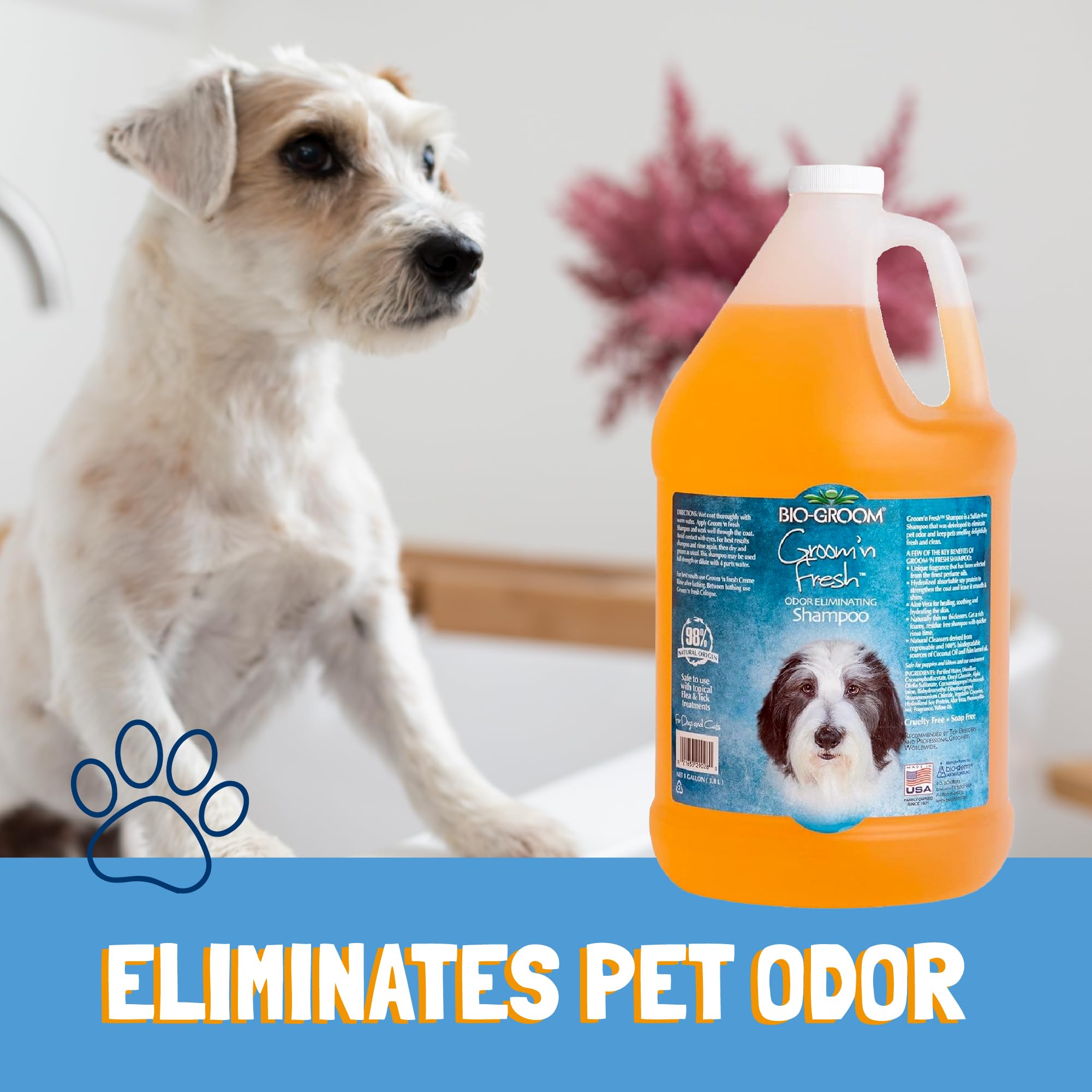 Bio-Groom Groom'n Fresh Dog Shampoo 1 Gallon