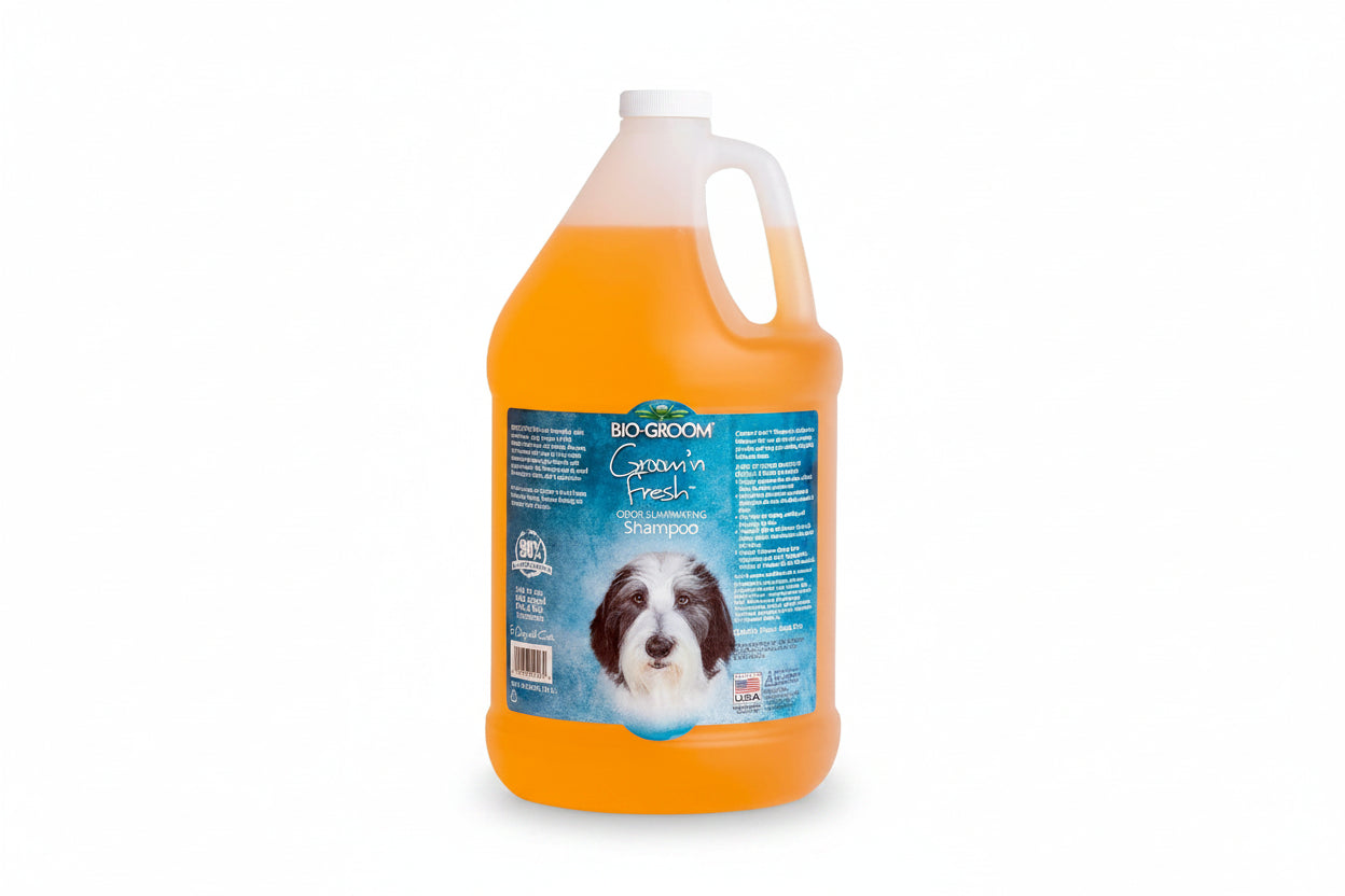 Orange bottle of Bio-Groom Groom 'n Fresh Shampoo on a white background