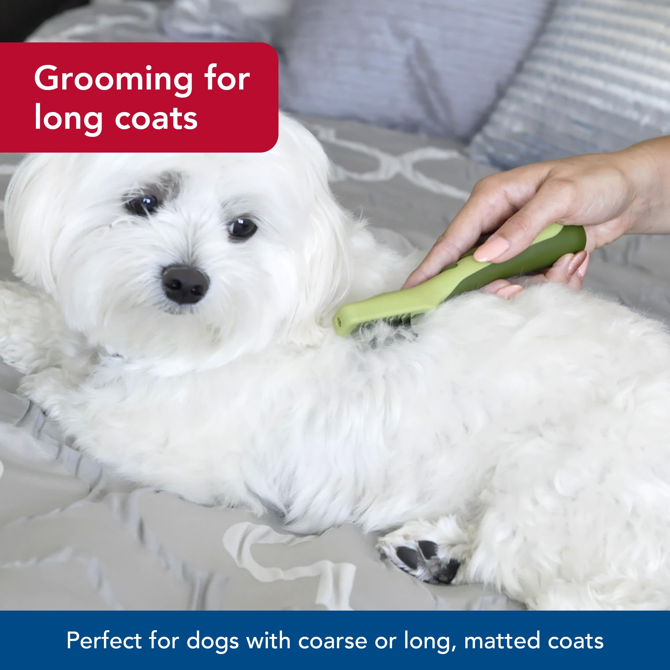 Coastal Pet Safari Dematting Comb