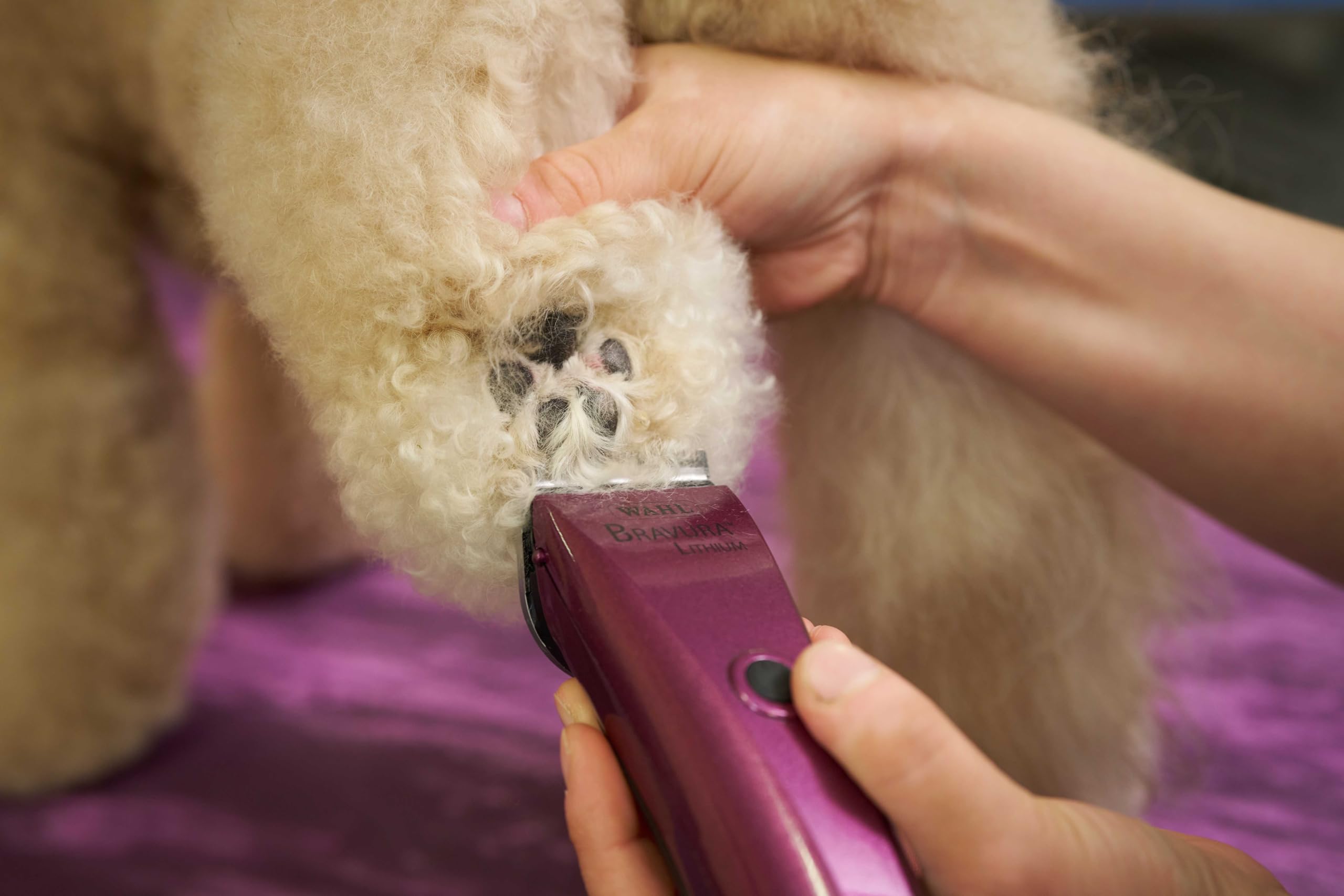 Wahl Professional Animal Corded/Cordless Clipper Kit