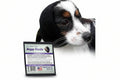 Happy Hoodie The Original Dog & Cat Calming Band