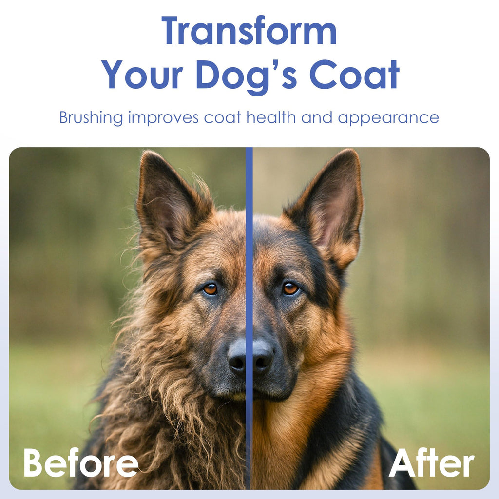 Double-Sided Grooming Brush for Dogs & Cats