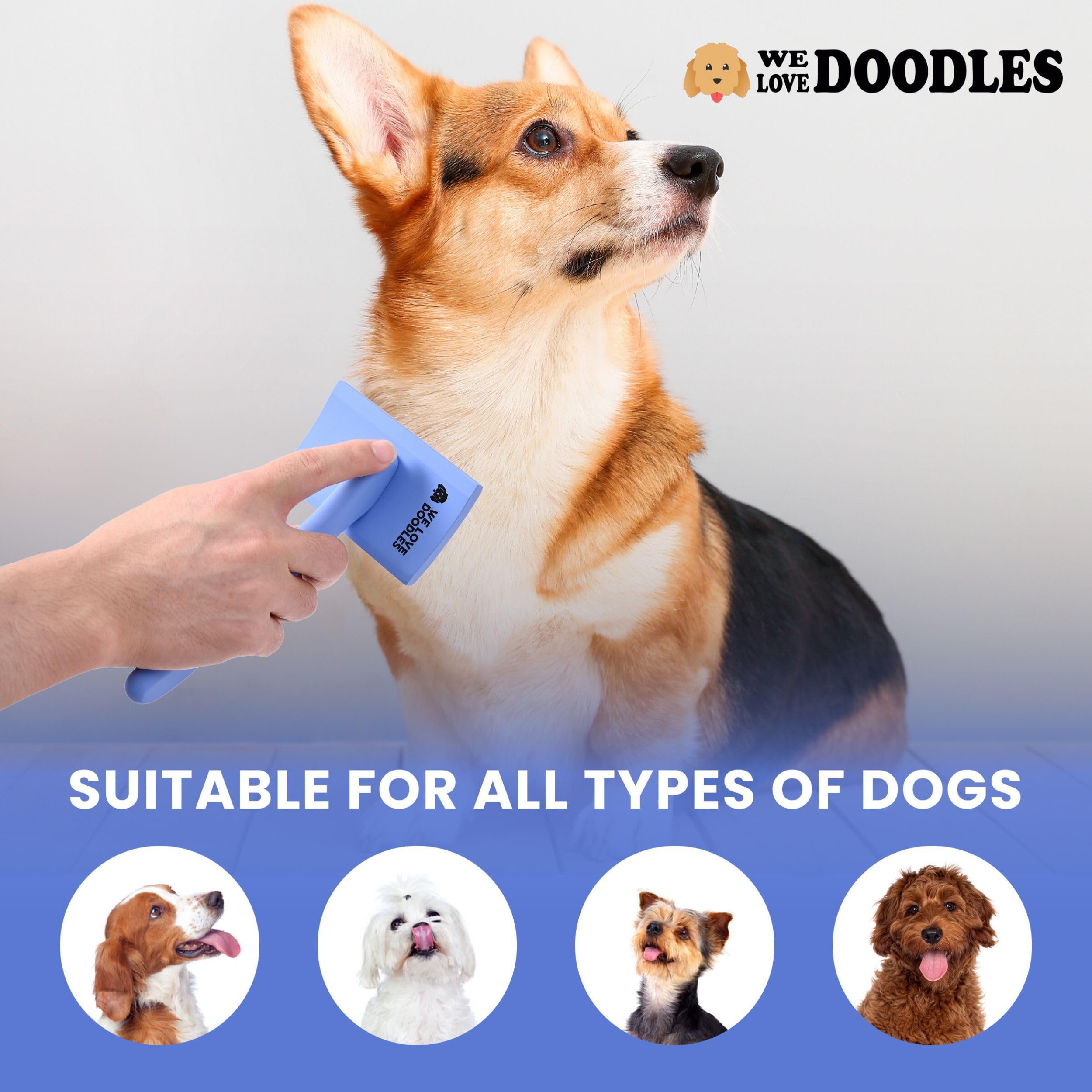 Slicker Brush for Dogs (Medium Curved)