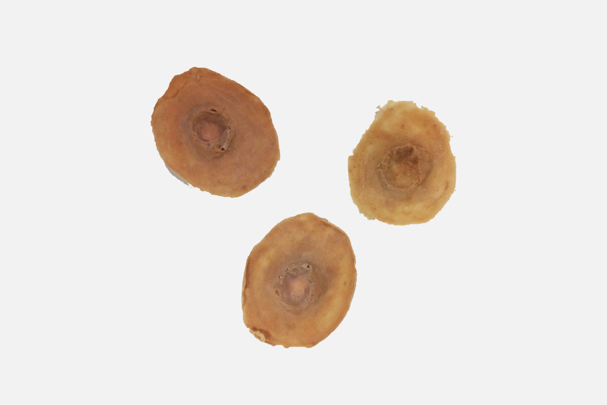 Special FX Makeup Bundle