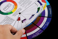 Joyzan Color Mixing Wheel