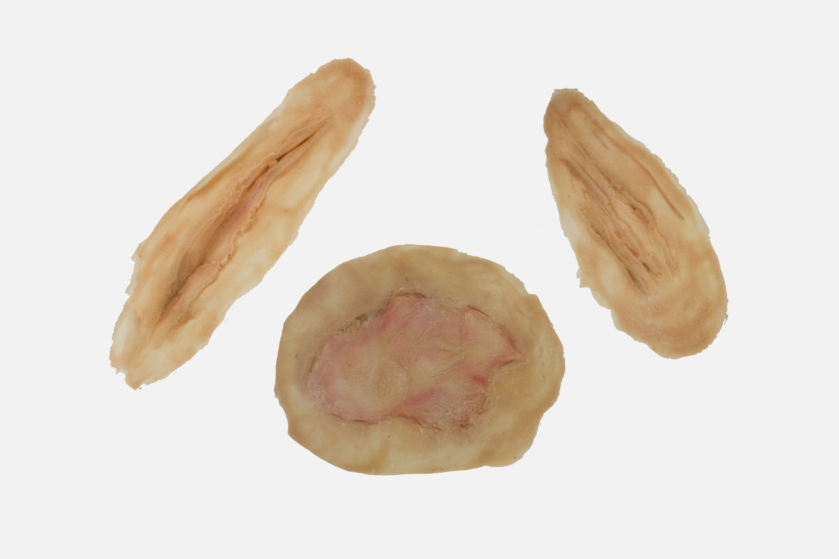 Three prosthetic wound pieces for special FX makeup on a white background