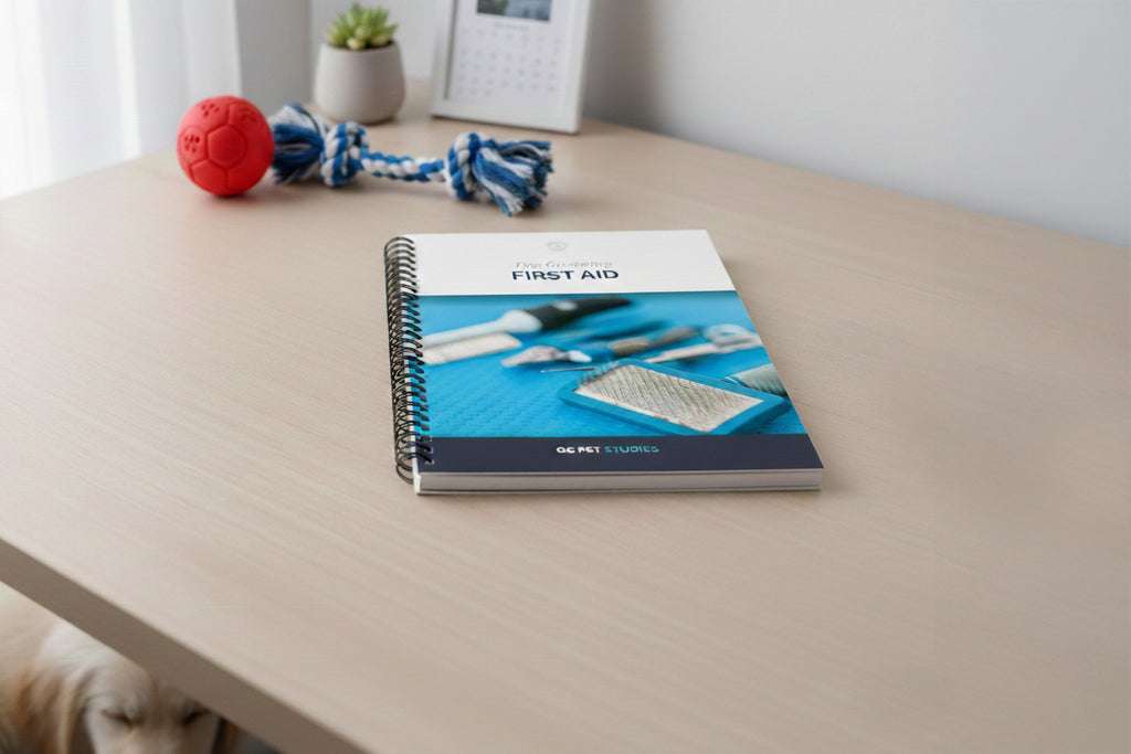 First aid book on a table with pet toys in the background