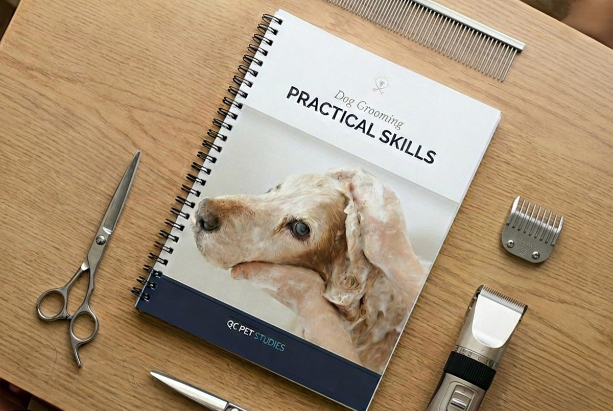 Notebook titled 'Practical Skills' with a dog on the cover, surrounded by grooming tools on a wooden surface.